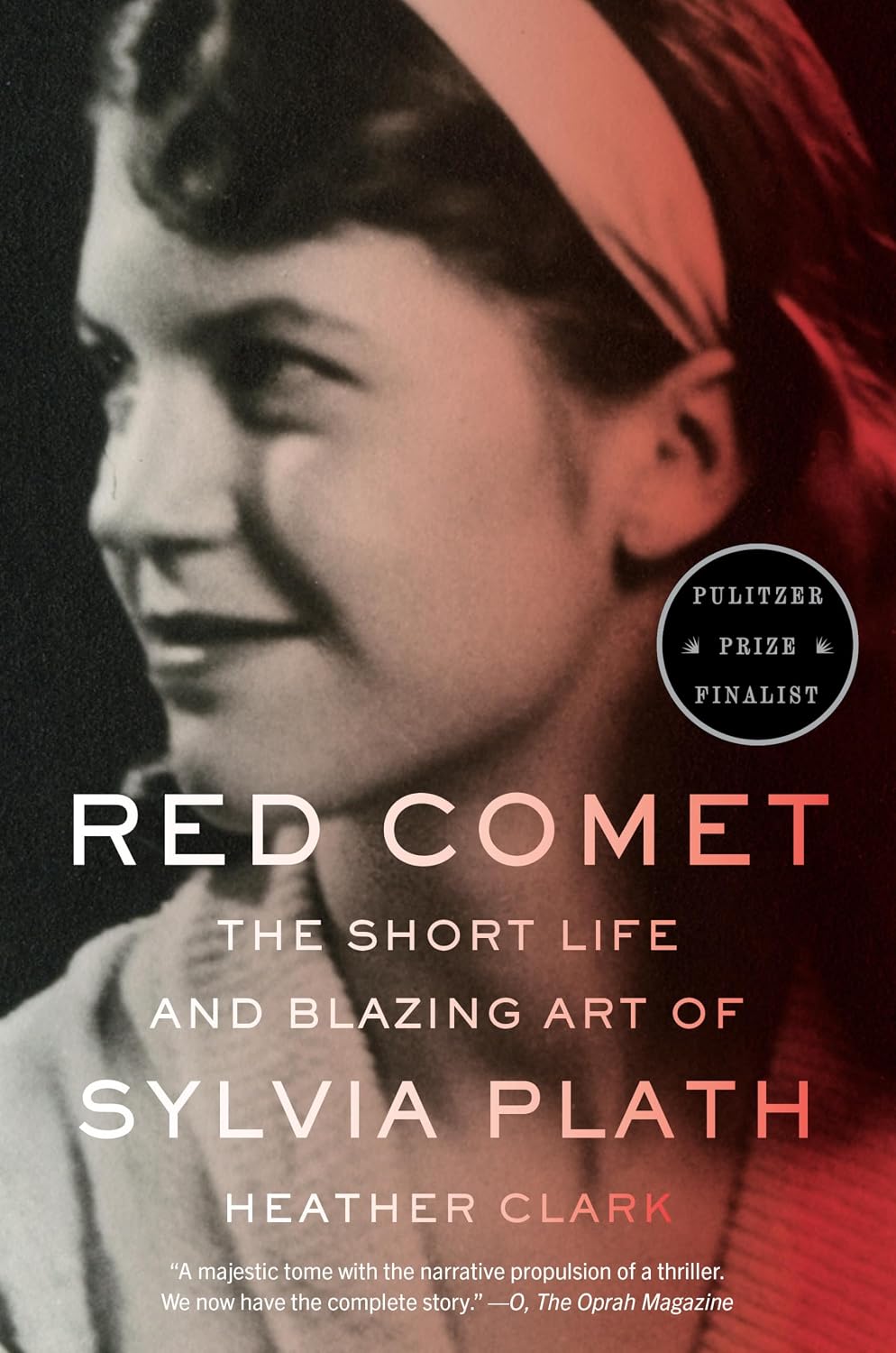 ler totalmente Red Comet: The Short Life and Blazing Art of Sylvia Plath