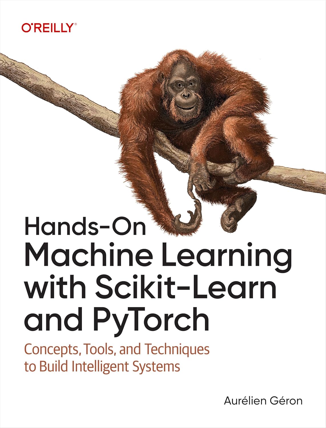 Hands-On Machine Learning with Scikit-Learn and PyTorch: Concepts, Tools, and Techniques to Build Intelligent Systems (English Edition) baixar livro de graça