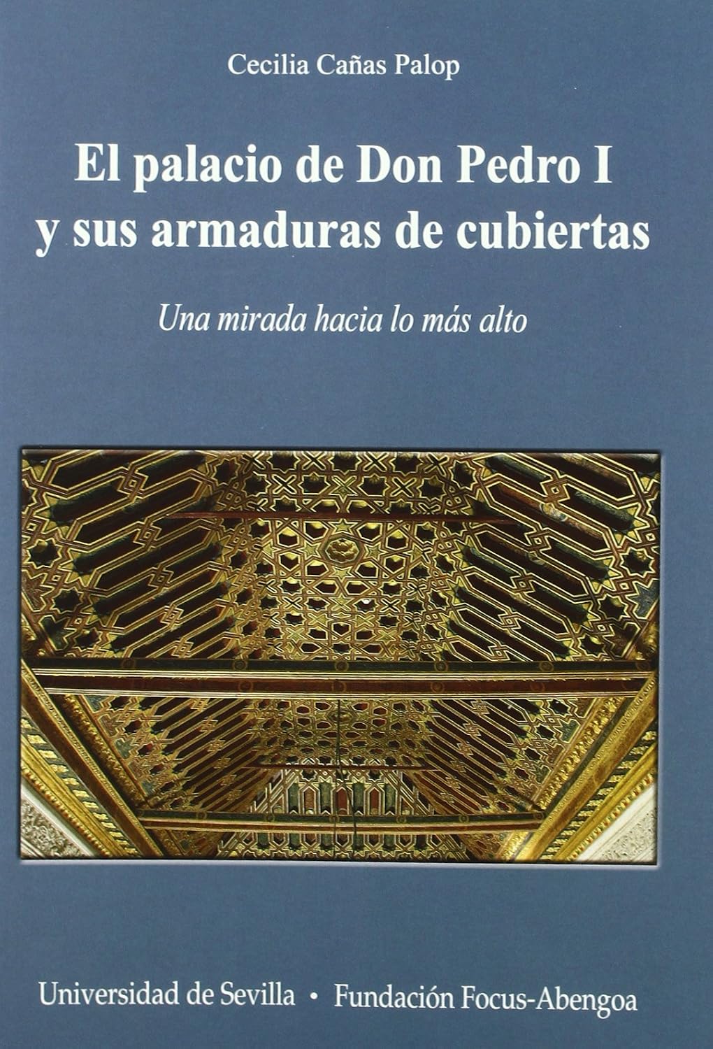 El palacio de Don Pedro I y sus armaduras de cubiertas: Una mirada hacia lo más alto: 22 baixar o livro de graça