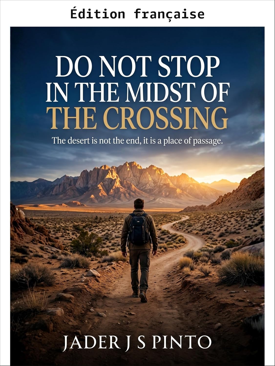 Ne vous arrêtez pas au milieu de la traversée (French Edition)