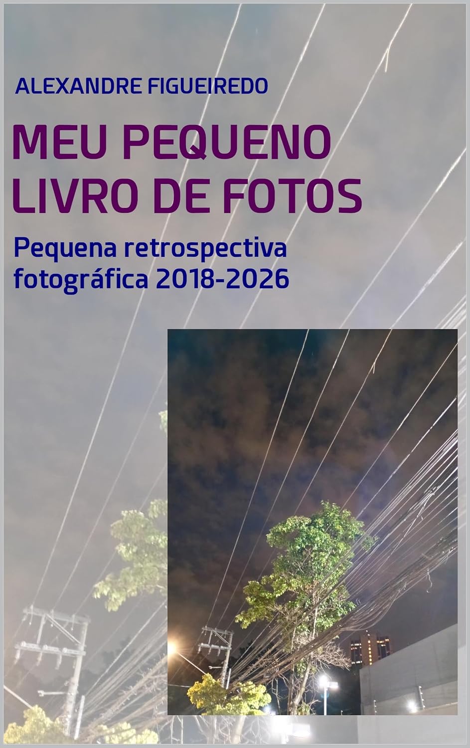 MEU PEQUENO LIVRO DE FOTOS: Retrospectiva fotográfica 2018-2026 baixar livro de graça