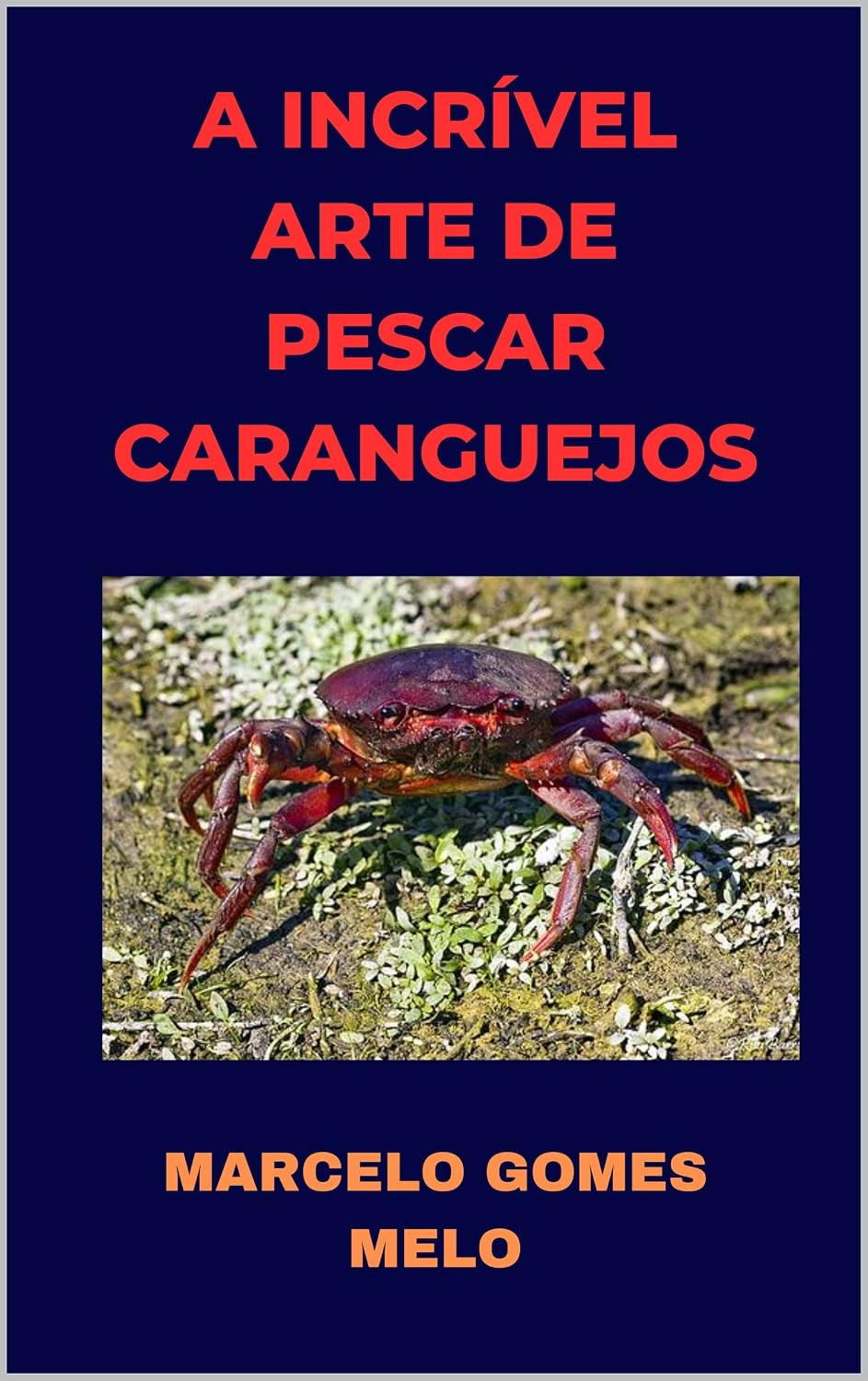 ler totalmente A incrível arte de pescar caranguejos