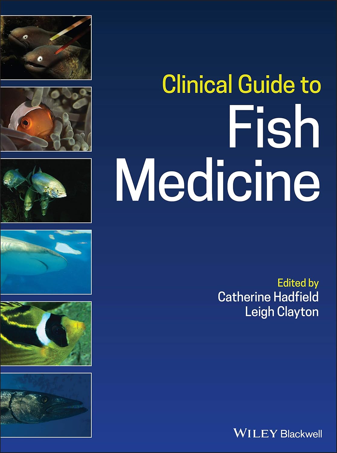 capítulo por capítulo baixar Clinical Guide to Fish Medicine