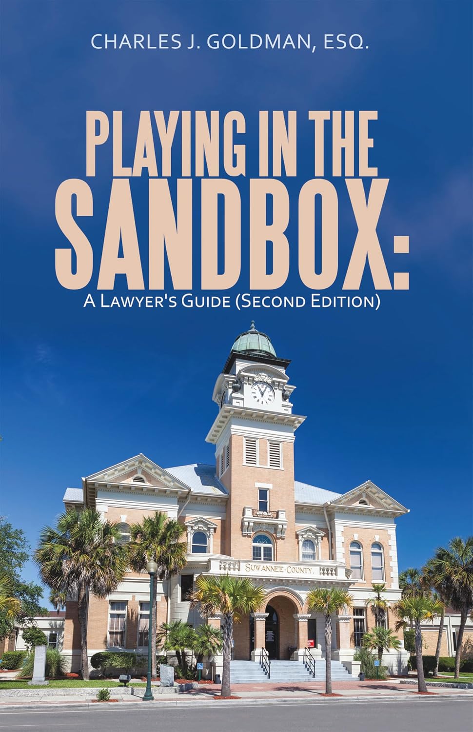ler totalmente Playing in the Sandbox: A Lawyer's Guide (Second Edition) (English Edition)