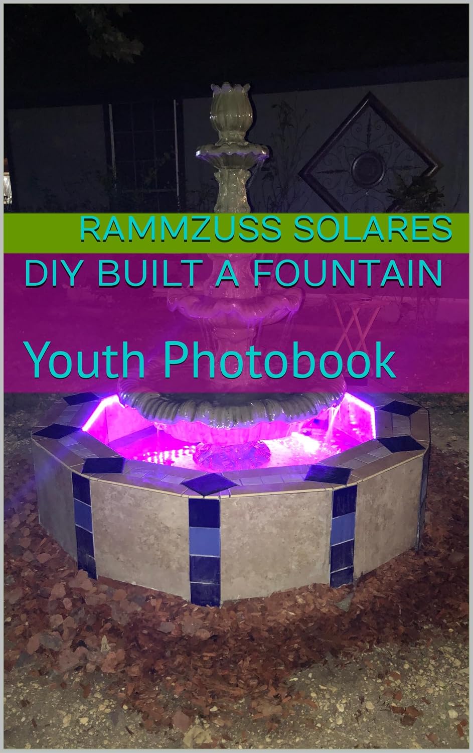 capítulo por capítulo baixar Diy built a fountain: Youth Photobook (Whistle blowers and hand washers) (English Edition)