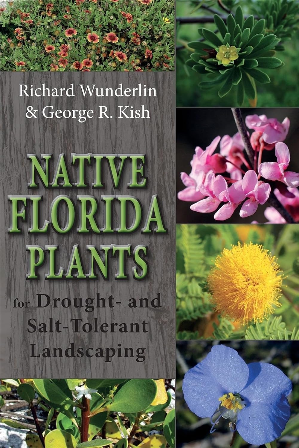 Native Florida Plants for Drought- and Salt-Tolerant Landscaping baixar livro de graça