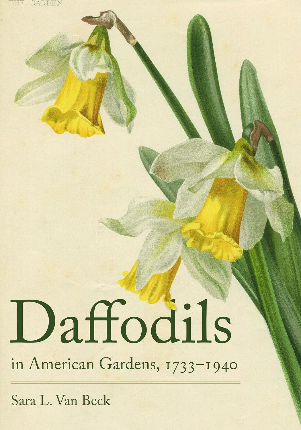 ler totalmente Daffodils in American Gardens, 1733 1940