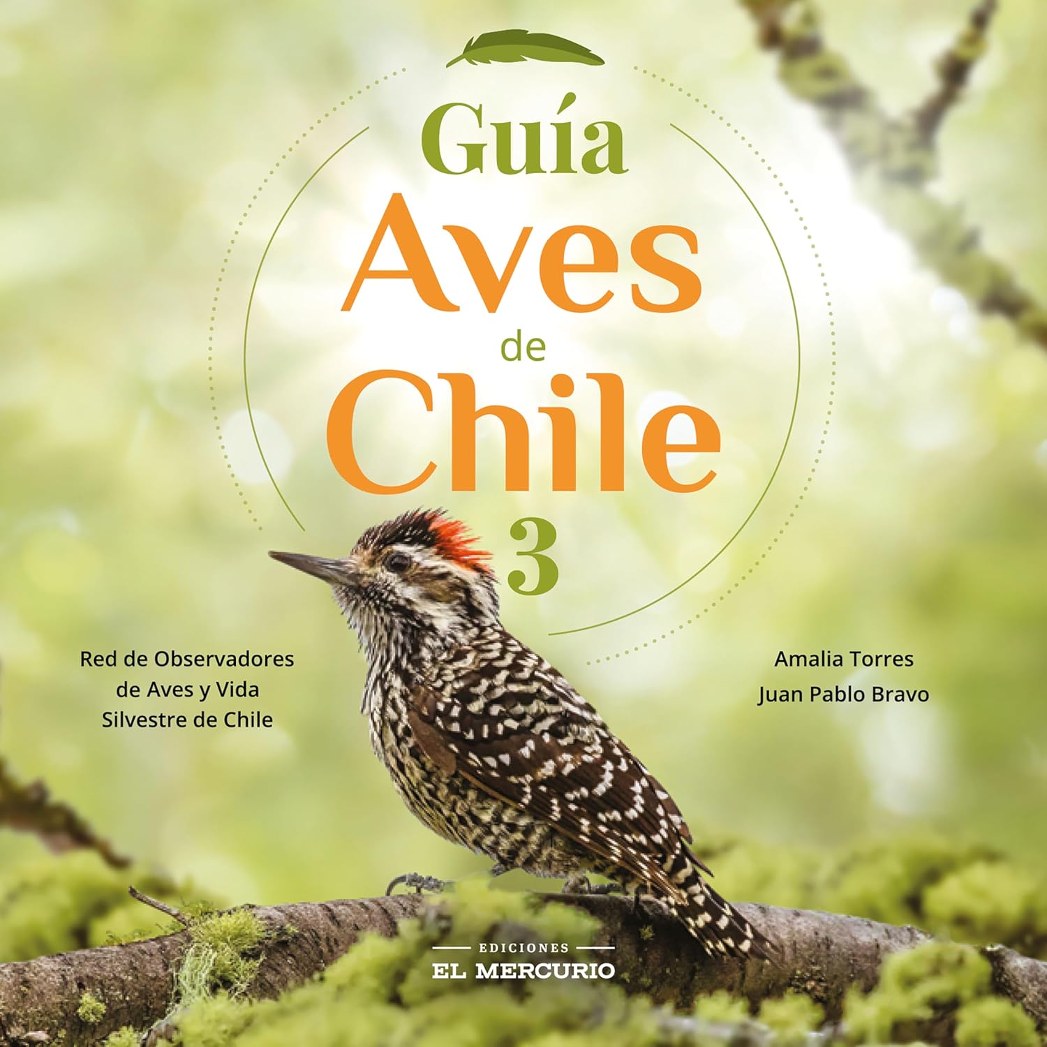 ler totalmente Guía aves de Chile 3 (Spanish Edition)