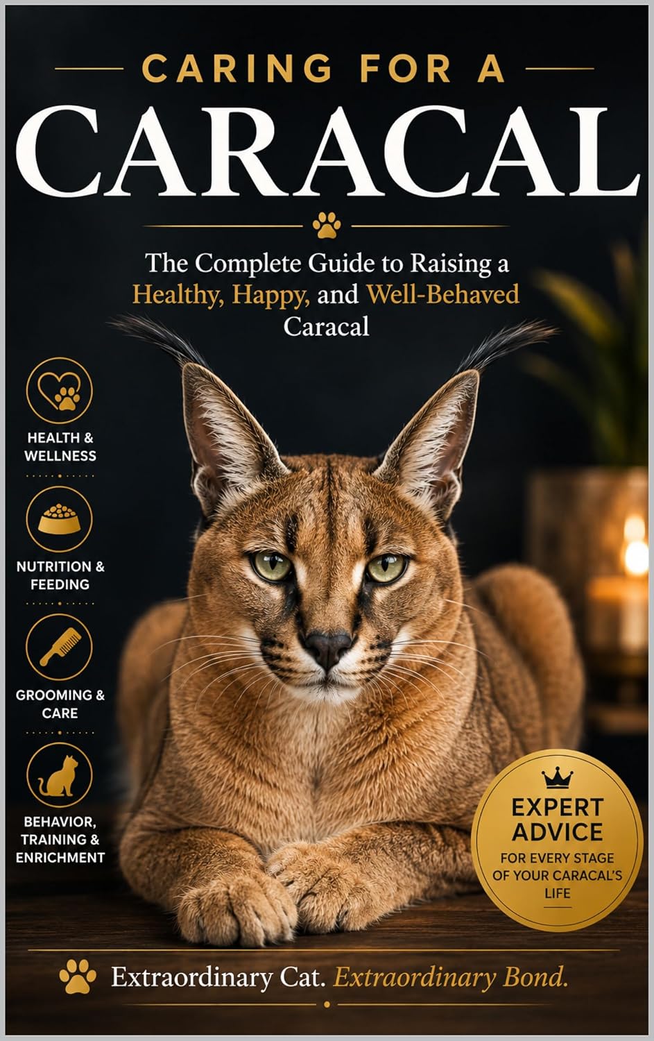 ler totalmente Caring for a Caracal - The Complete Owner's Guide (English Edition)