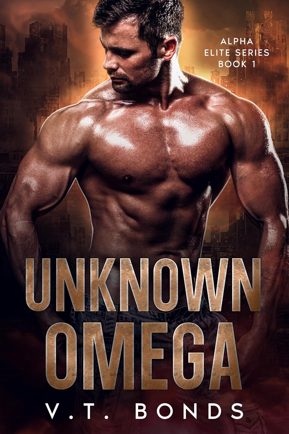 Unknown Omega: A Dark and Steamy Fated-Mates Romance: A Forced Proximity, Rejected Mate Military Omegaverse (Alpha Elite Series Book 1) (English Edition) baixar livro de graça