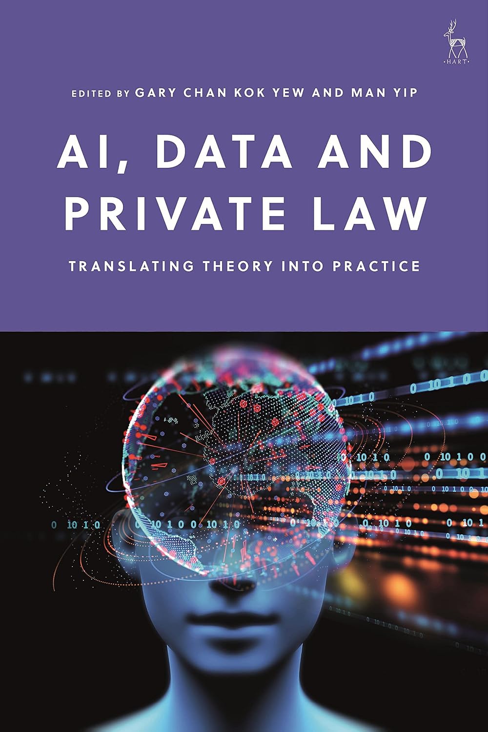 AI, Data and Private Law: Translating Theory into Practice (English Edition) baixar o livro de graça