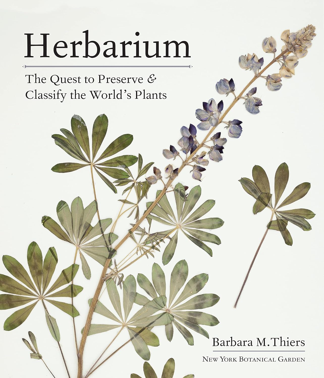 Herbarium: The Quest to Preserve and Classify the World's Plants (English Edition) baixar o livro de graça