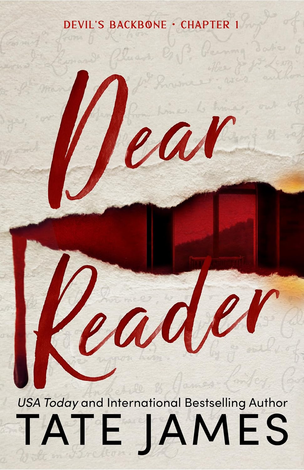 Dear Reader (Standard Edition): 1 baixar o livro de graça