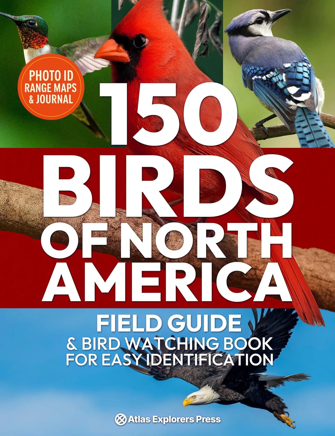ler totalmente 150 Birds of North America, Field Guide & Bird Watching Book for Easy Identification: A Birding Field Guide to 150 North American Species with Photos,... Behavior & Log Sheets (English Edition)