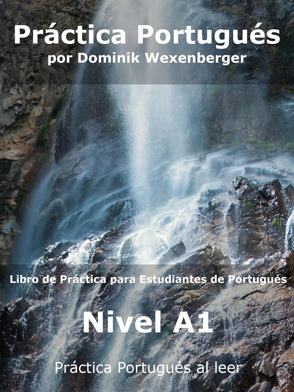 Práctica Portugués: Libro de práctica para estudiantes de Portugués - Nivel A1 baixar o livro de graça