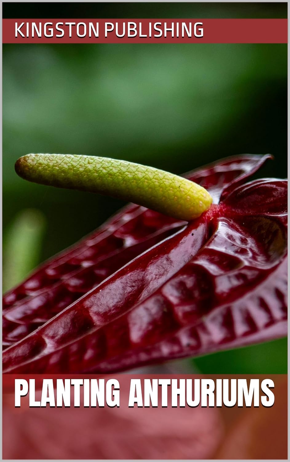 ler totalmente Planting Anthuriums (Growing Flowers) (English Edition)