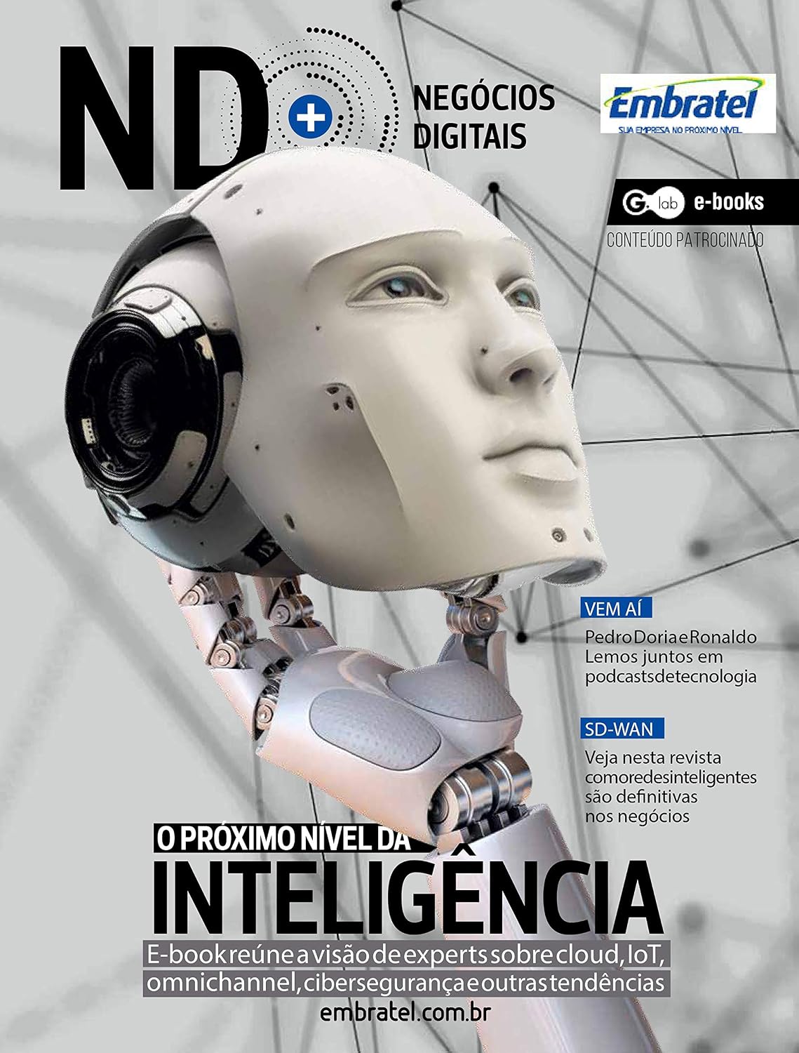NEGÓCIOS DIGITAIS: O PRÓXIMO NÍVEL DA INTELIGÊNCIA baixar livro de graça