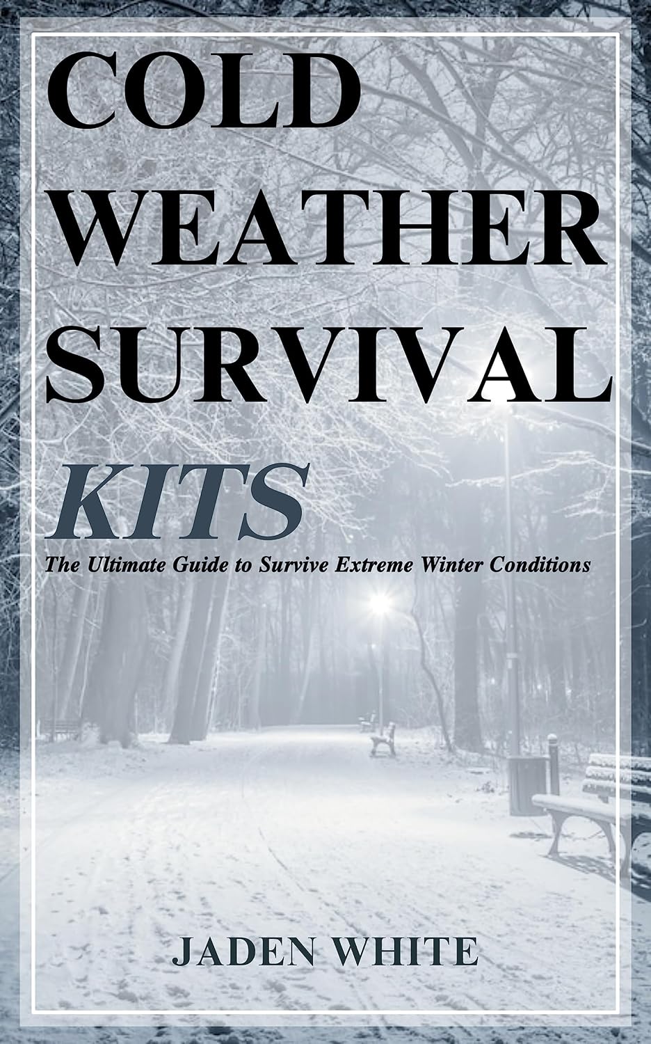 COLD WETHER SURVIVAL KITS: The Ultimate Guide to Survive Extreme Winter Conditions (English Edition) baixar livro de graça