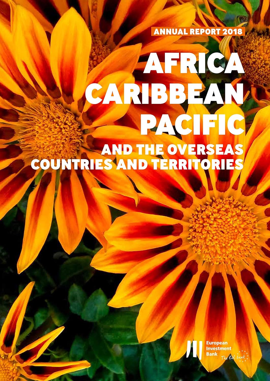 EIB Activity in Africa, the Caribbean, the Pacific and the Overseas Countries and Territories: Annual Report 2018 (English Edition) baixar livro de graça