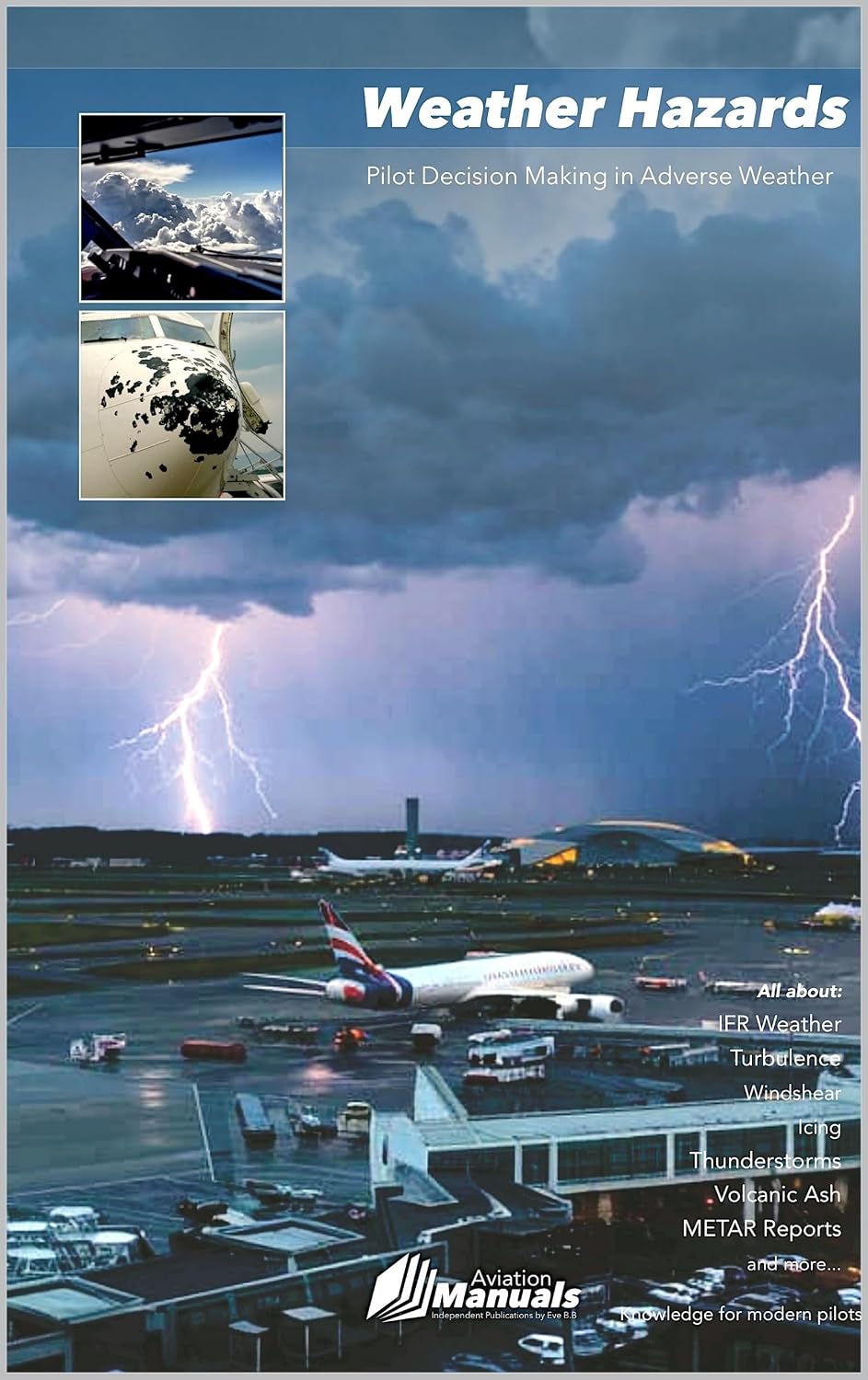Weather Hazards: Pilot Decision Making in Adverse Weather (English Edition)