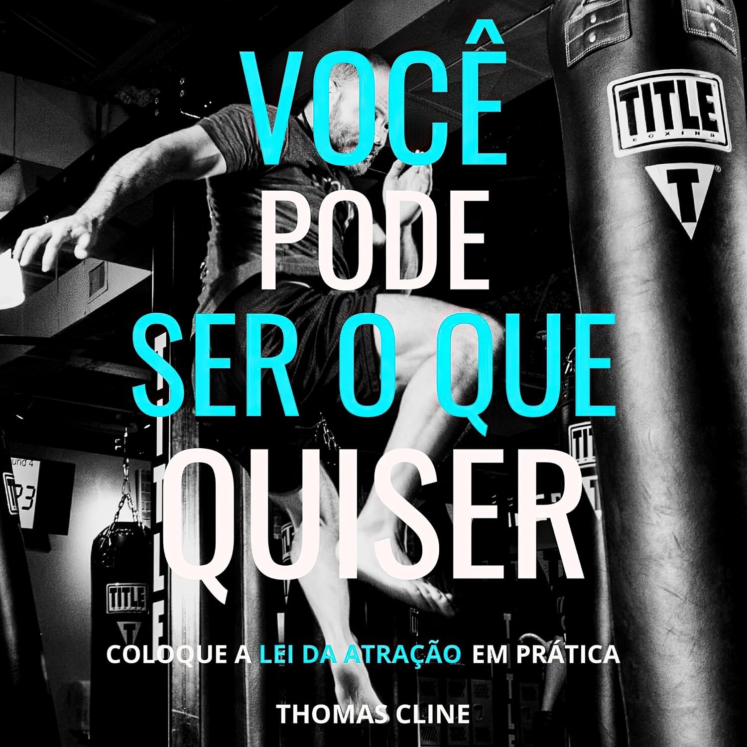ler totalmente Você Pode Ser o que Quiser: Coloque a Lei da Atração na sua Carreira