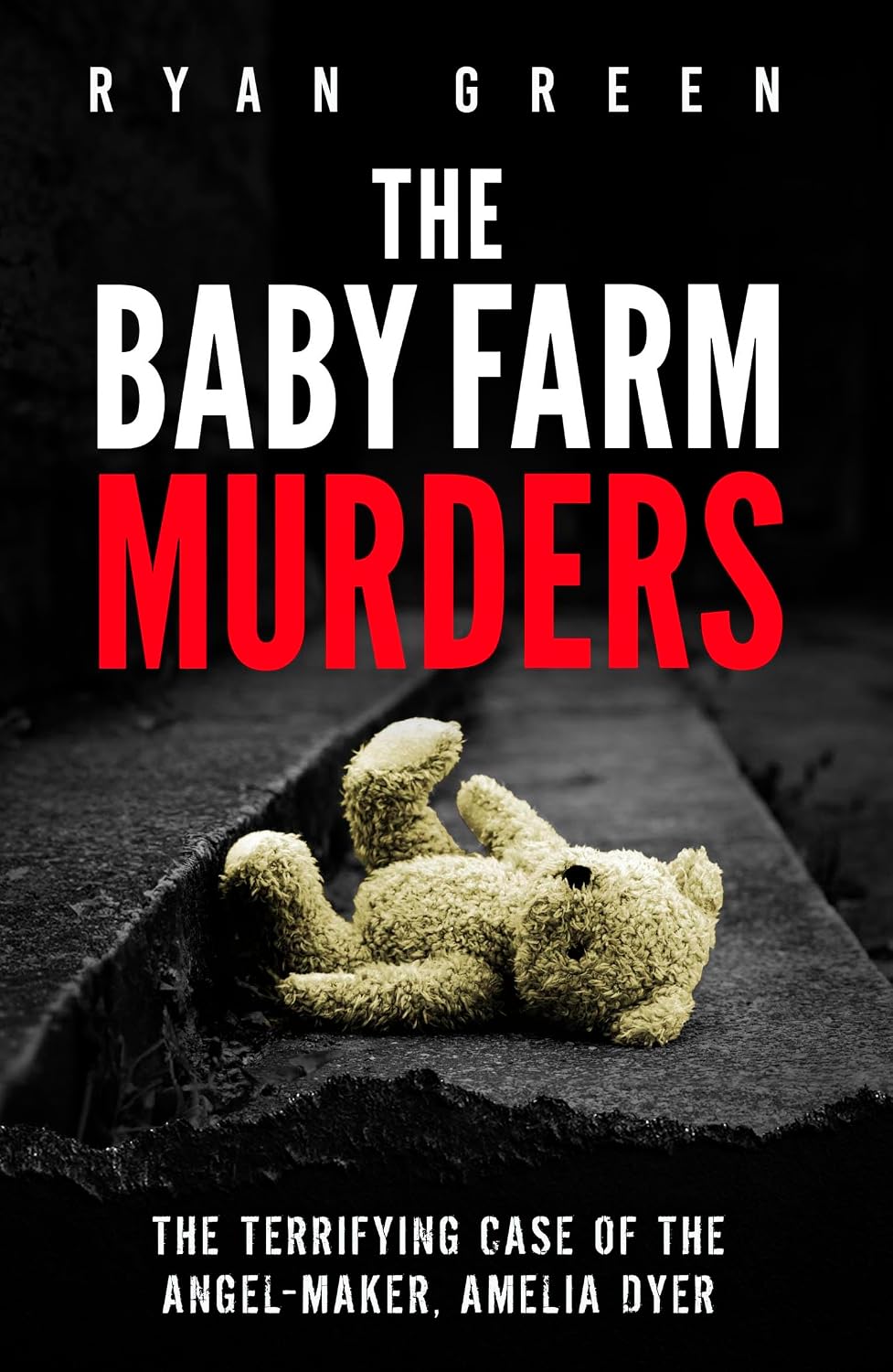 ler totalmente The Baby Farm Murders: The Terrifying Case of the Angel-Maker, Amelia Dyer (True Crime) (English Edition)