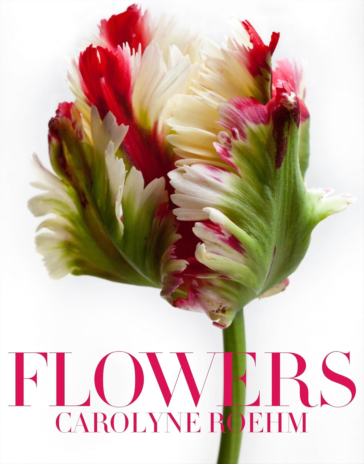 capítulo por capítulo baixar Flowers