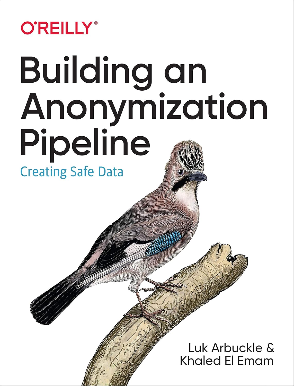 Building an Anonymization Pipeline: Creating Safe Data (English Edition) baixar livro de graça