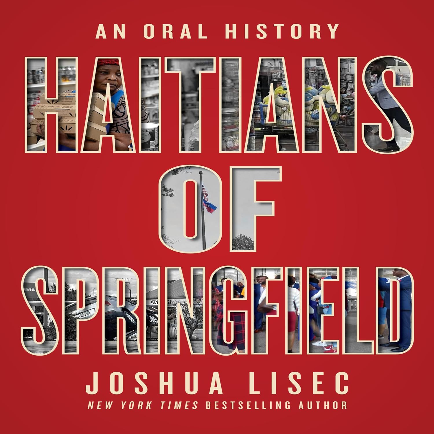 Haitians of Springfield: An Oral History baixar o livro de graça