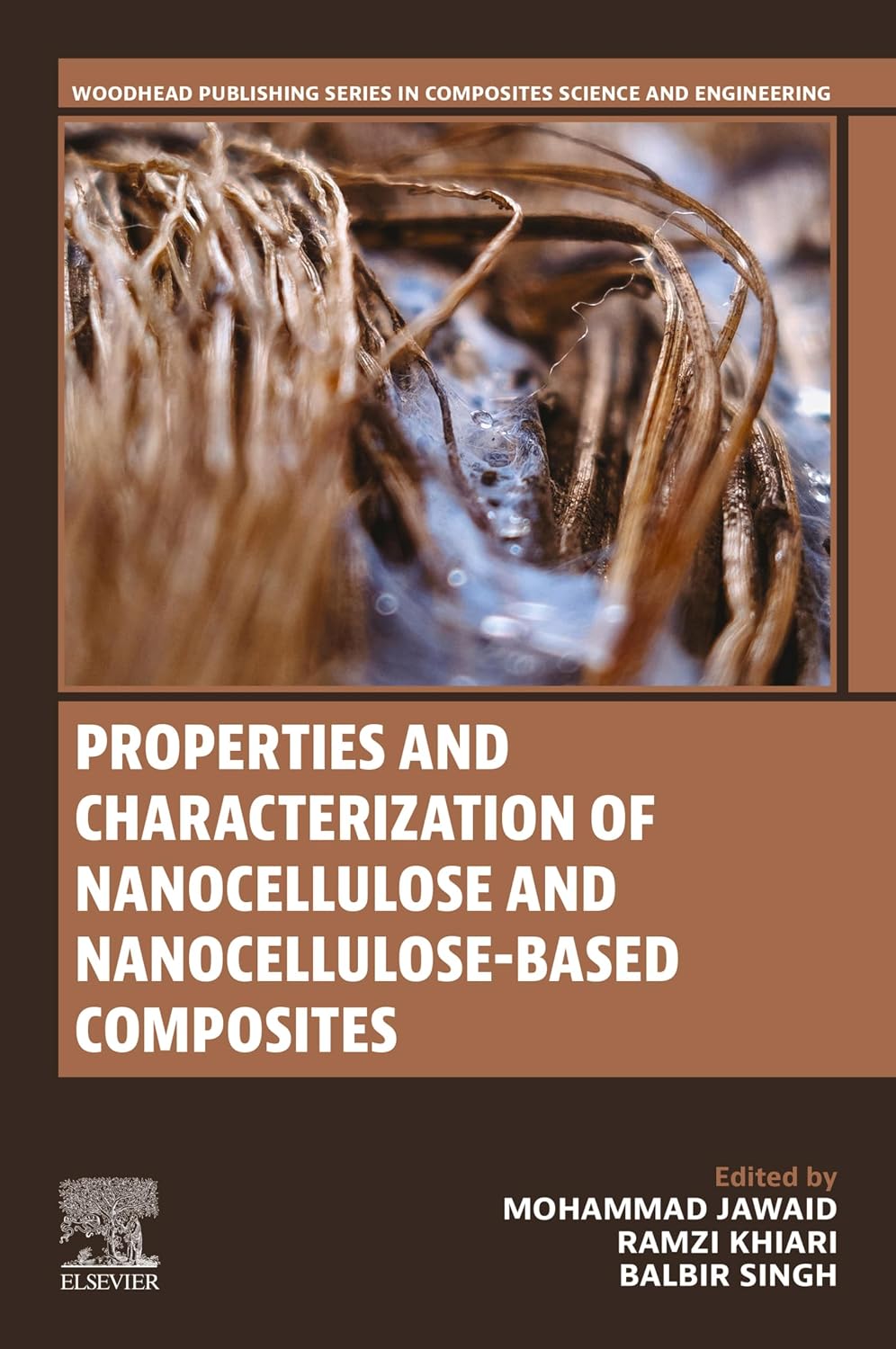 capítulo por capítulo baixar Properties and Characterization of Nanocellulose and Nanocellulose-Based Composites (Woodhead Publishing Series in Composites Science and Engineering) (English Edition)