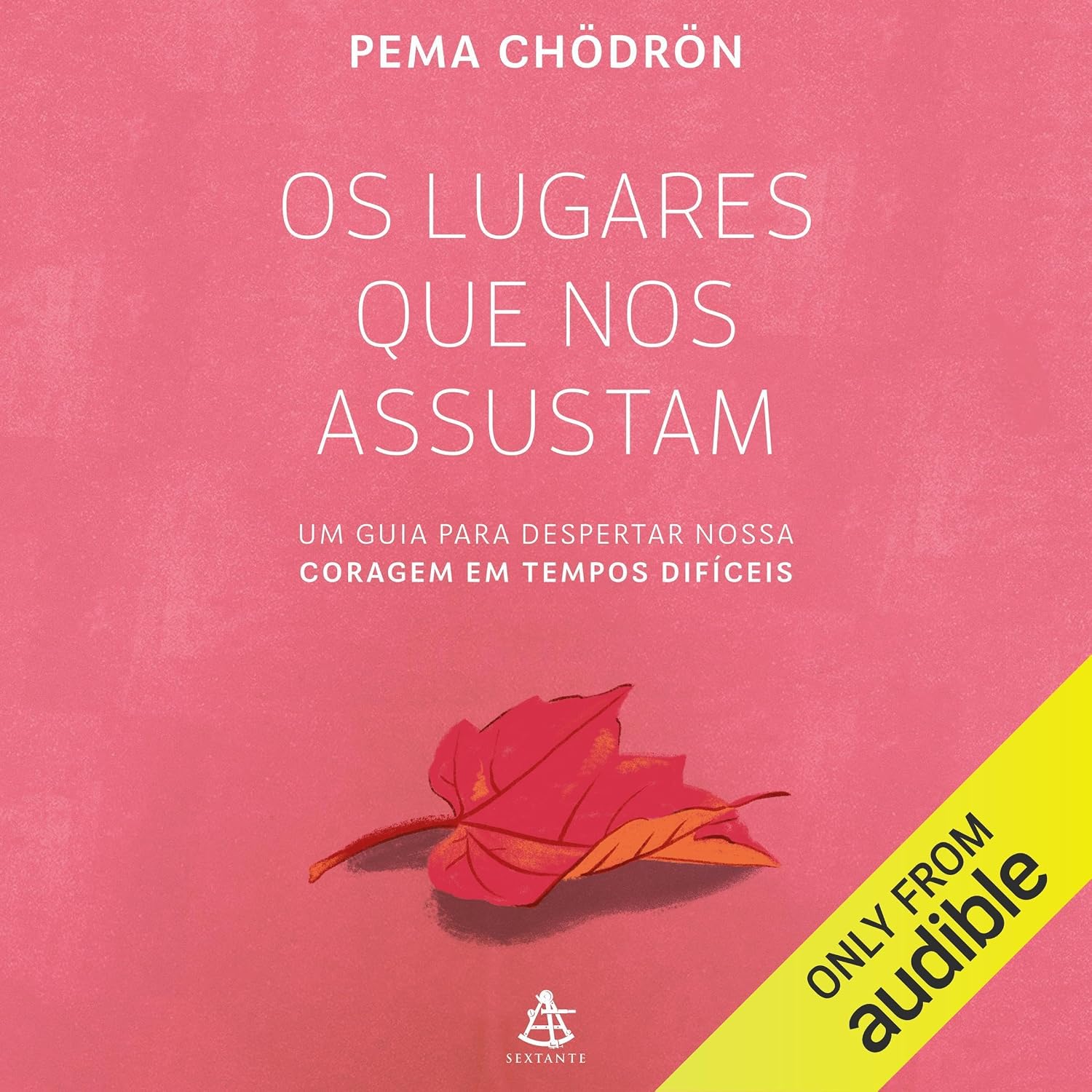Os lugares que nos assustam: Um guia para despertar nossa coragem em tempos difíceis baixar livro de graça