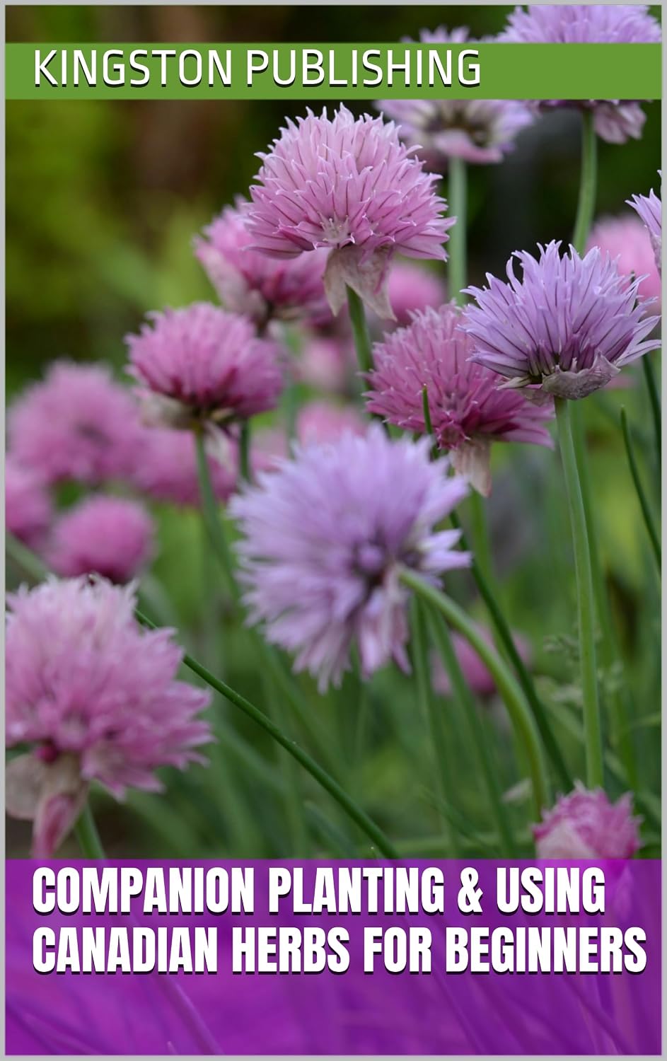 ler totalmente Companion Planting & Using Canadian Herbs for Beginners (Eco-Friendly Gardens) (English Edition)