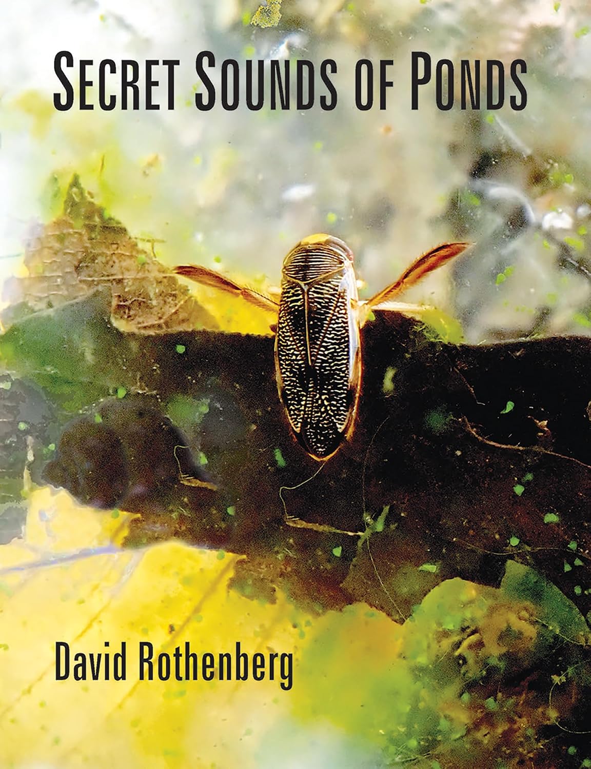 ler totalmente Secret Sounds of Ponds (English Edition)