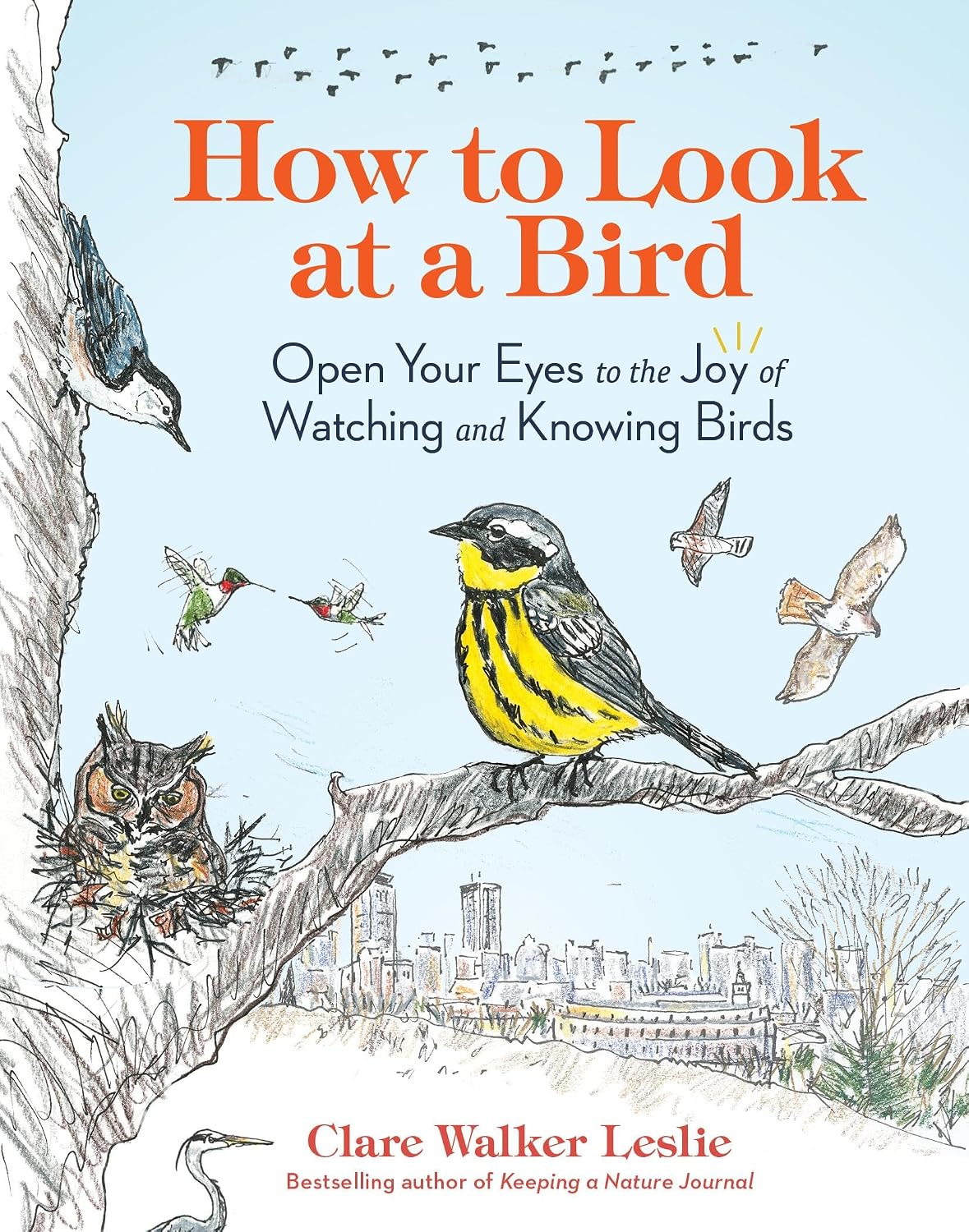 How to Look at a Bird: Open Your Eyes to the Joy of Watching and Knowing Birds baixar livro de graça