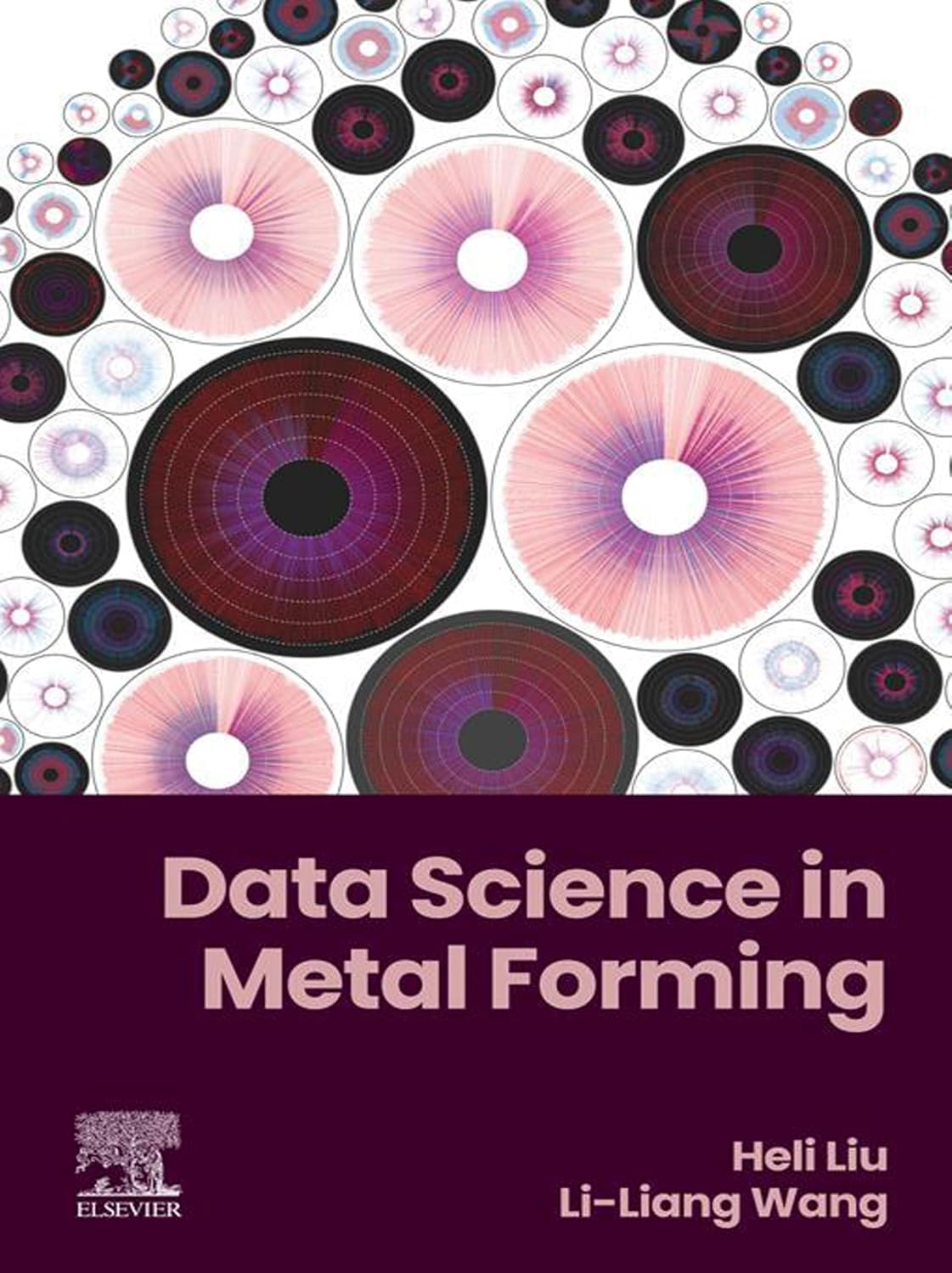 Data Science in Metal Forming (English Edition)