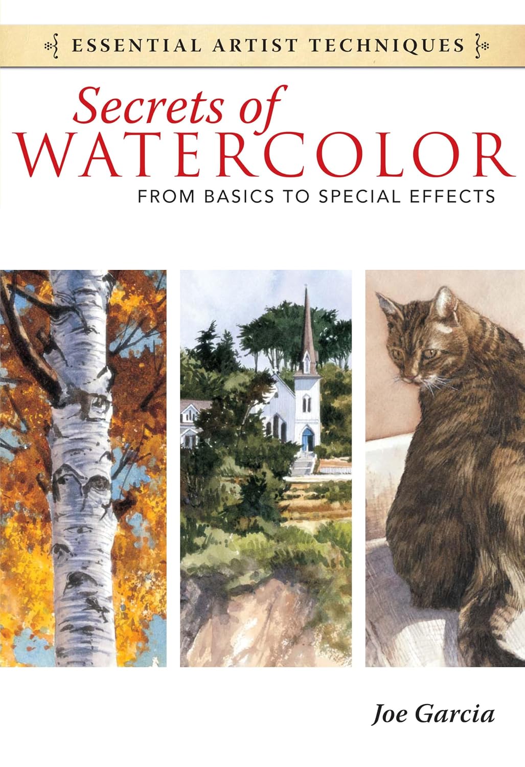 Secrets of Watercolor: From Basics to Special Effects baixar livro de graça