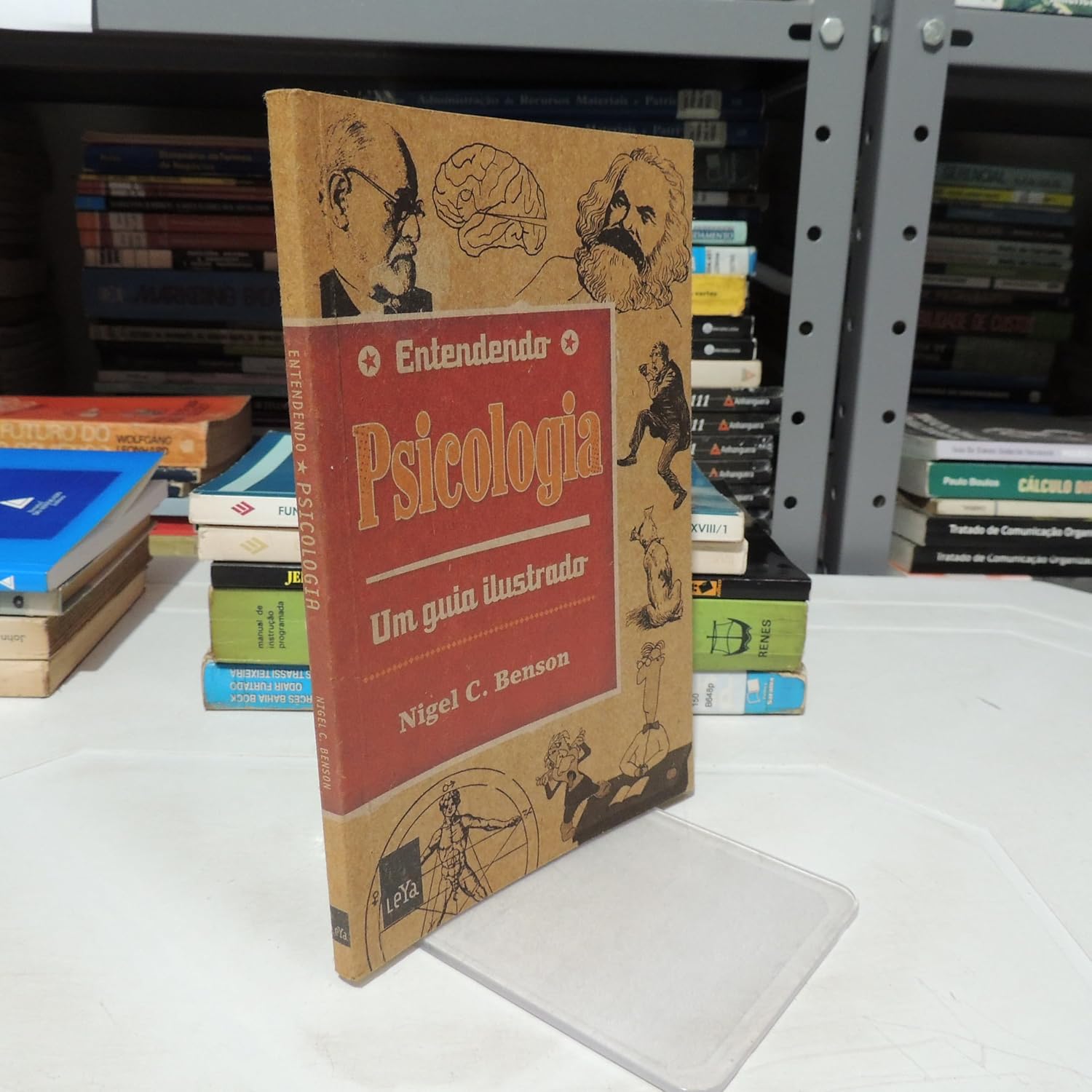 Entendendo Psicologia baixar o livro de graça