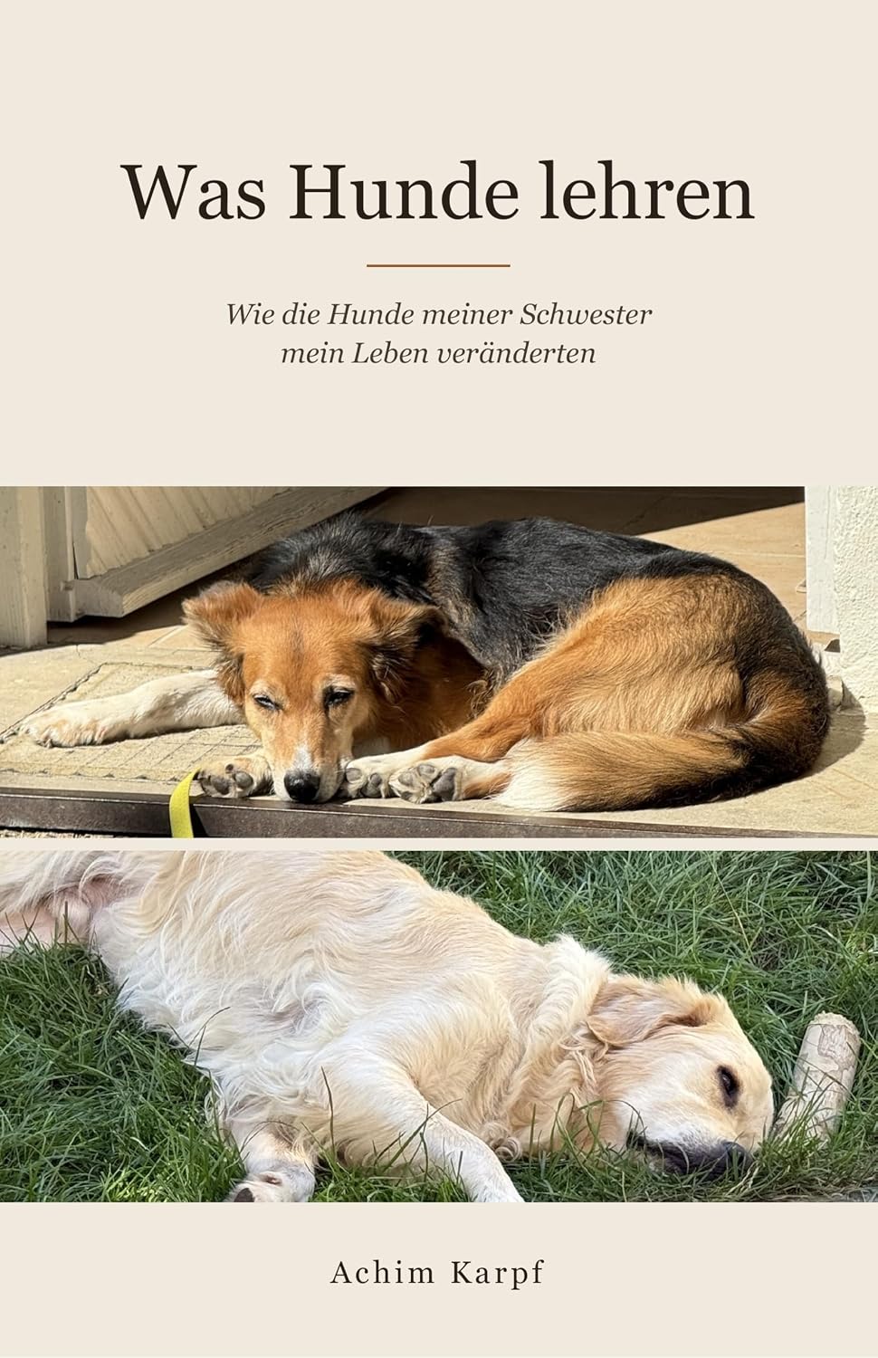 Was Hunde lehren: Wie die Hunde meiner Schwester mein Leben veränderten (German Edition) baixar livro de graça