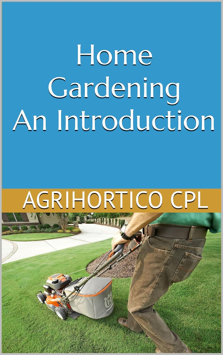 Home Gardening An Introduction (Presentations on Home Gardening Book 1) (English Edition) baixar livro de graça