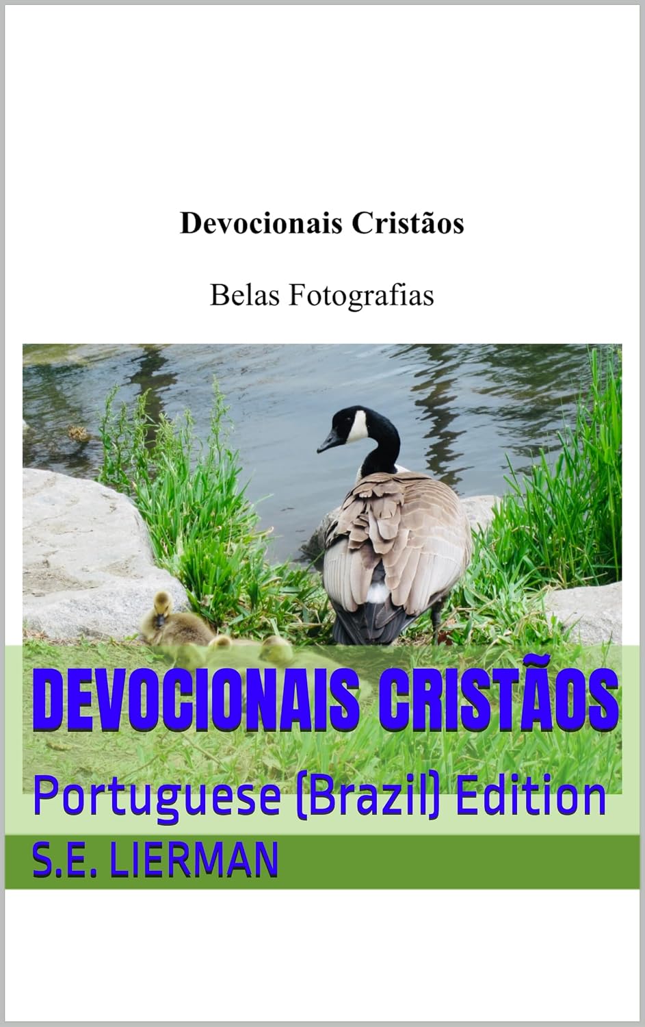 Devocionais Cristãos: Portuguese (Brazil) Edition