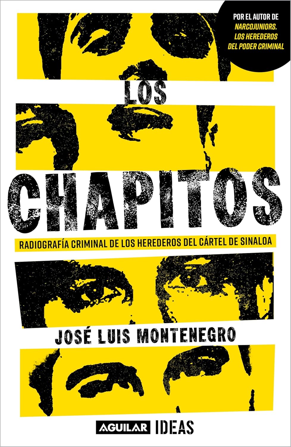 Los Chapitos: Radiografía criminal de los herederos del cártel de Sinaloa (Spanish Edition) baixar o livro de graça