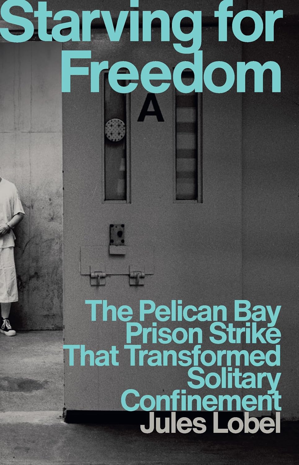 Starving for Freedom: The Pelican Bay Prison Strike That Transformed Solitary Confinement (English Edition) baixar livro de graça