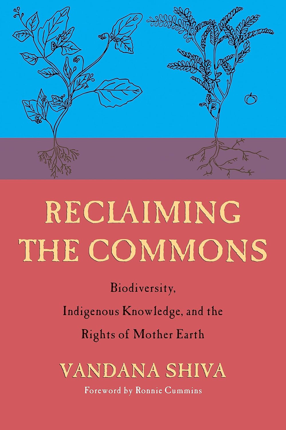 Reclaiming the Commons: Biodiversity, Traditional Knowledge, and the Rights of Mother Earth baixar o livro de graça