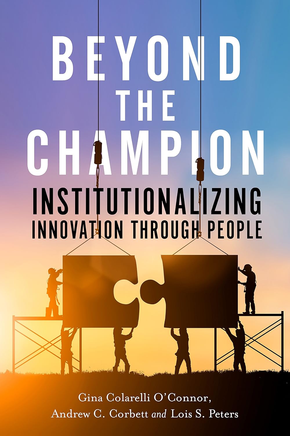Beyond the Champion: Institutionalizing Innovation Through People (English Edition) baixar o livro de graça