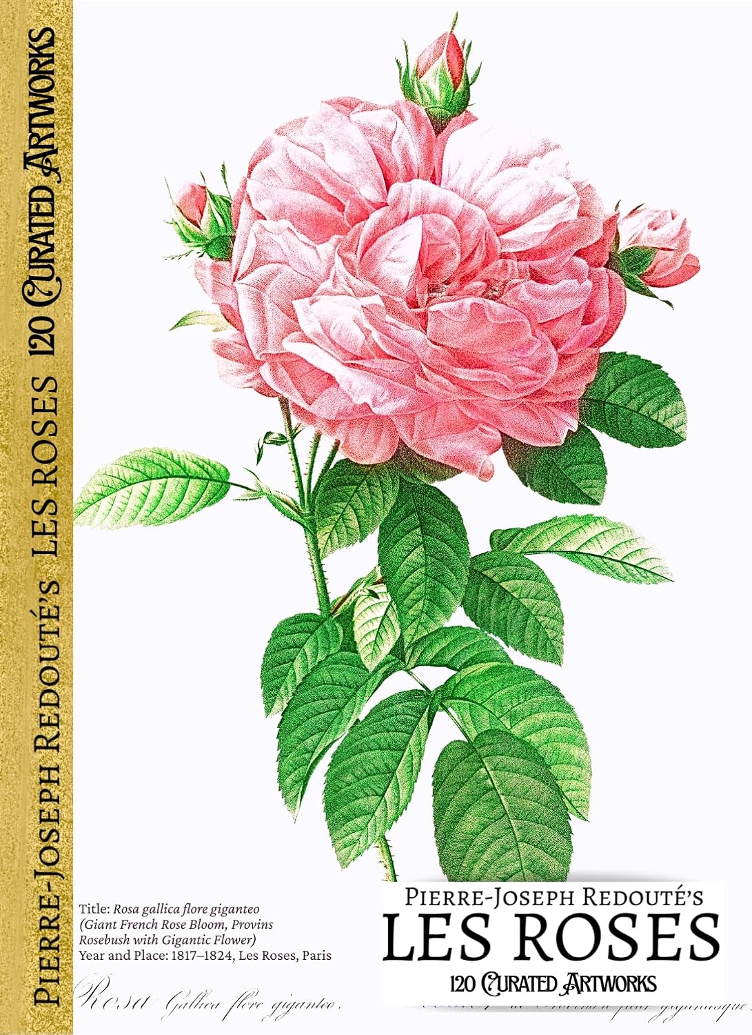 'Pierre-Joseph Redouté's LES ROSES: 120 Curated Artworks'; Luxury Coffee Table Book/High Quality Art Prints; eBOOK: 120 Restored, Vivid Artworks Mounted... Art Gallery Book 54) (English Edition) baixar o livro de graça