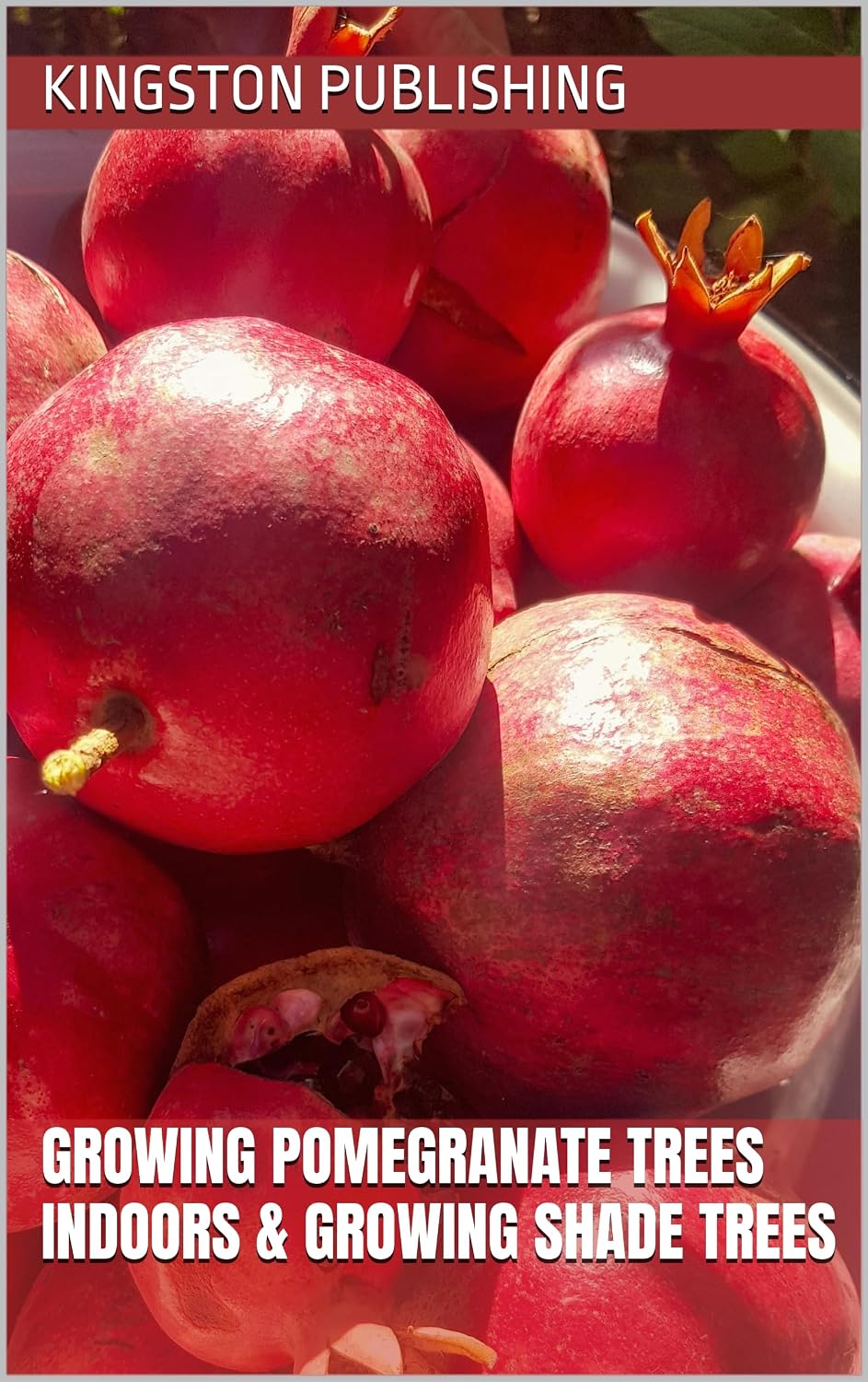ler totalmente Growing Pomegranate Trees Indoors & Growing Shade Trees (Sweet Fruit) (English Edition)