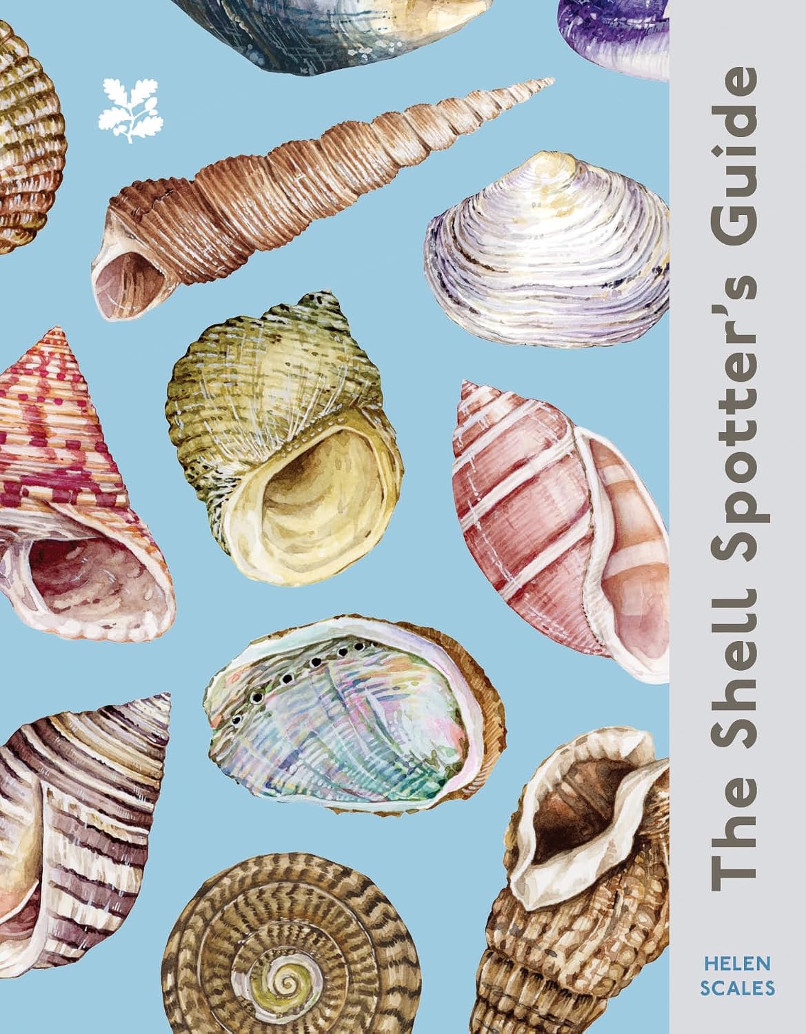 capítulo por capítulo baixar The Shell-Spotter's Guide: Every shell has a story to tell. Discover the secrets of these treasures of the sea
