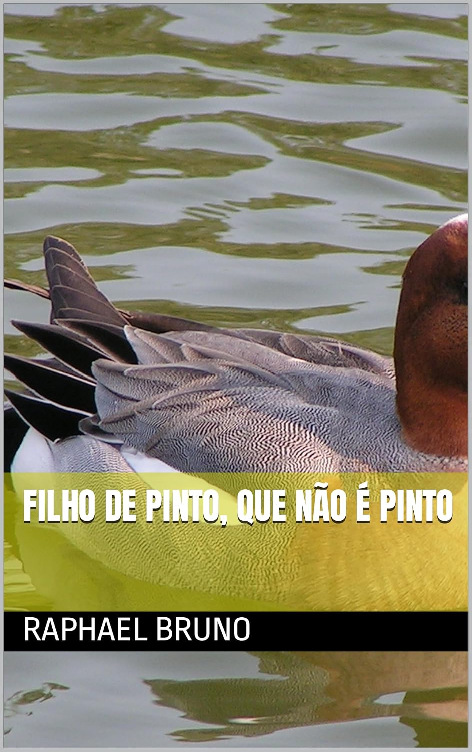 FILHO DE PINTO, QUE NÃO É PINTO baixar livro de graça
