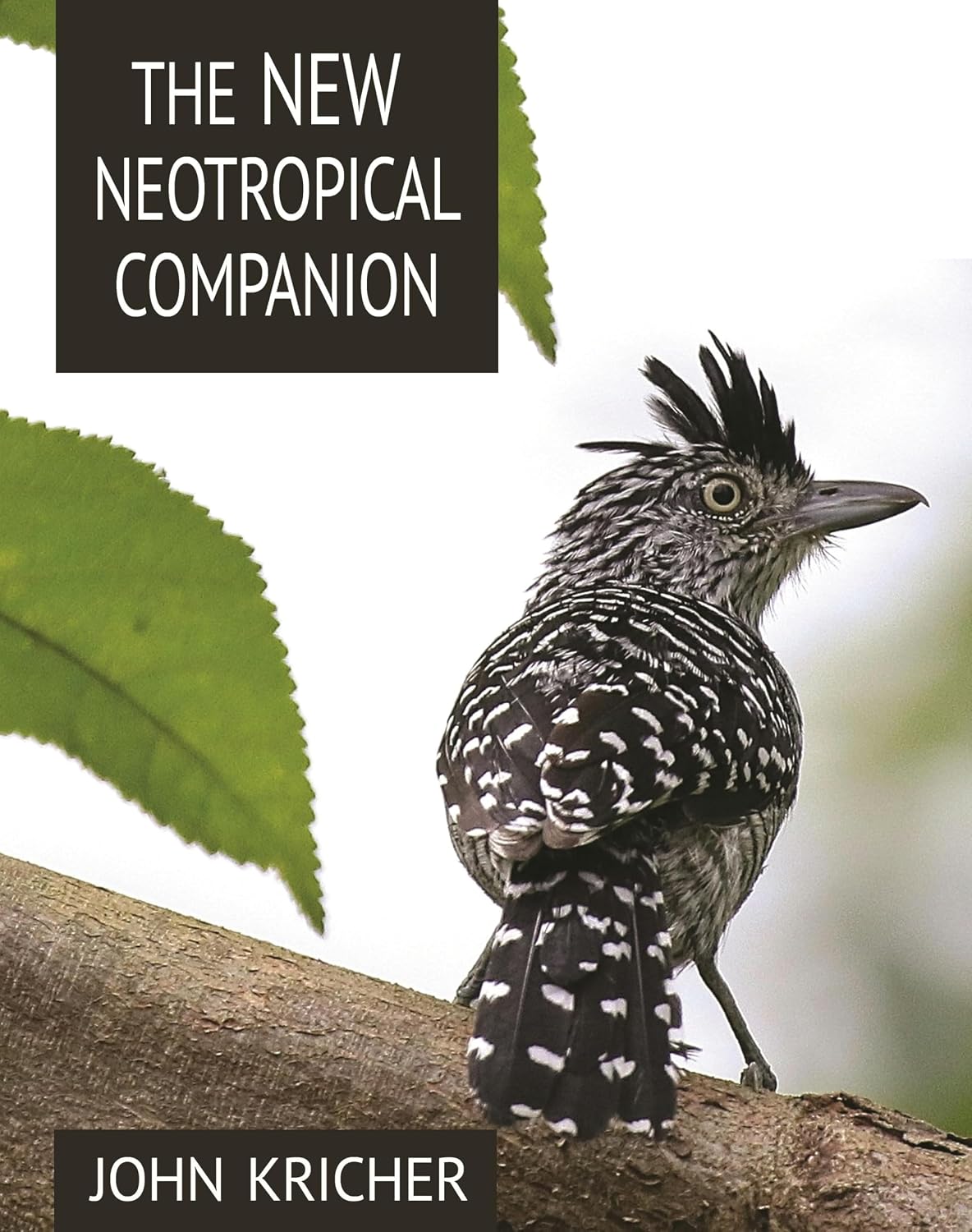ler totalmente The New Neotropical Companion