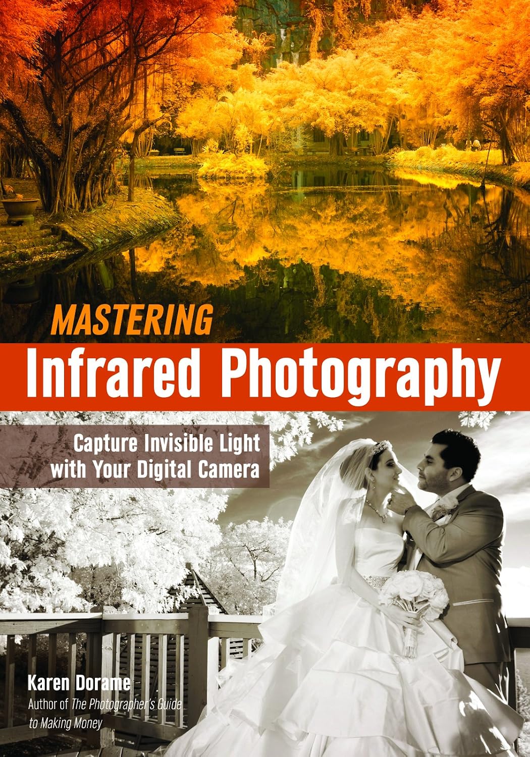 Mastering Infrared Photography: Capture Invisible Light with A Digital Camera (English Edition) baixar o livro de graça